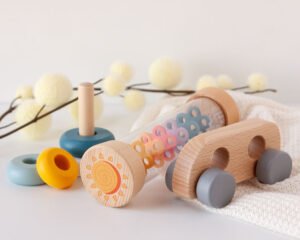 Medinių žaislų rinkinys kūrybiškumui